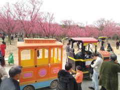 -秀丽东方