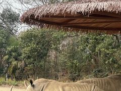 -宁波野生动物园