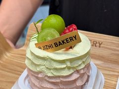 -极致味道动物奶油生日蛋糕(时尚店)