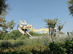 -太阳部落