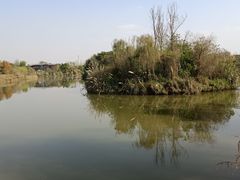 -白鹭湾湿地公园