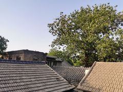 -后海16号·北京私房菜