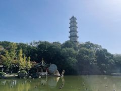 -江心屿景区