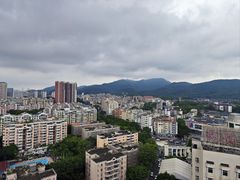 -南方医科大学南方医院(院本部)