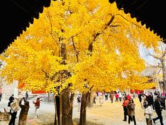 -承恩寺