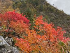 -叠溪松坪沟景区