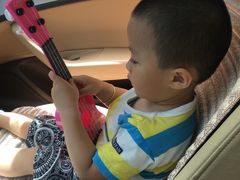 -陕西省小天鹅艺术团