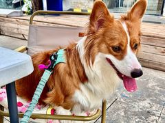 -小意思咖啡店(草桥店)