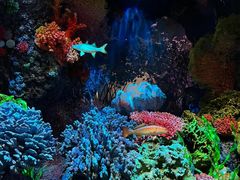 -中国湿地博物馆