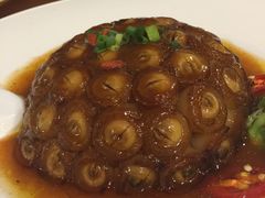 -石头咕(葵蓬店)