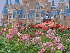 -上海迪士尼度假区