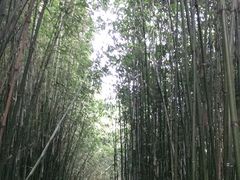 -井空里大峡谷