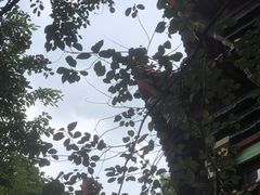 -成都市文殊院