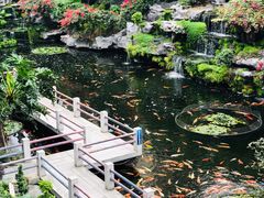 -桃园盛宴·岭南粤菜·手工茶点(南庄店)