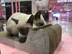 -凯德广场(学府店)