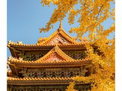 -故宫博物院(故宫)