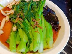 -新白鹿餐厅(虹桥南丰城店)