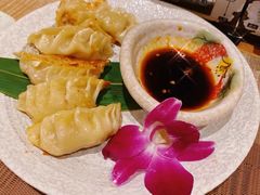 -酒井酱子·深夜食堂(东城汇店)