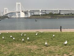 -台场海滨公园船码头
