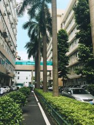 -深圳市妇幼保健院(红荔院区)