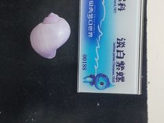-贝壳梦幻世界