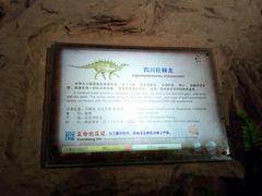 -自贡恐龙博物馆