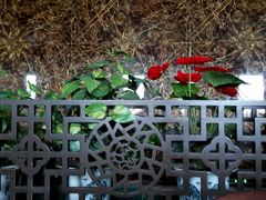 -红街养生休闲会所(红街商业广场店)