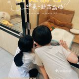 猫猫🐱狗狗🐶，更爱哪个？