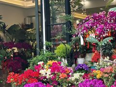 -溪岸路花鸟市场