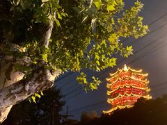 -黄鹤楼公园(黄鹤楼)