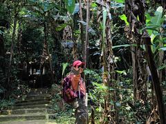 -七仙岭温泉国家森林公园