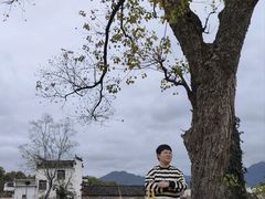 -塔川景区