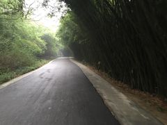 -成都大熊猫繁育研究基地