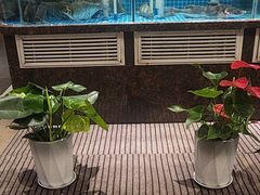 -汉水谣·江景餐厅(江滩店)