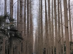 -上海怡沁园度假酒店