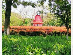 -东莞植物园