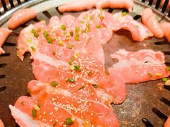 -杨记齐齐哈尔烤肉(总店)