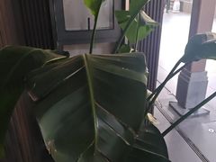 -阿伟海鲜楼·福建菜(涵江店)