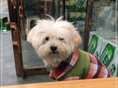 -老西安韩记三鲜煮馍(四府街店)
