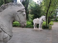 -洛阳白马寺