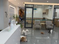 -贝利宠物医院·骨科·眼科·肿瘤转诊中心(南坪诊疗中心)