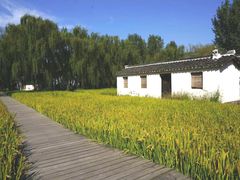 -溱湖国家湿地公园