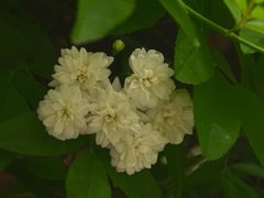 -西南交通大学(九里校区)