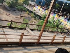 -北京鹿世界主题园