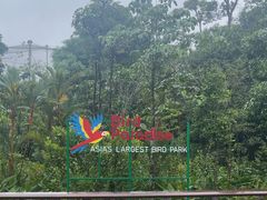 -新加坡飞禽公园