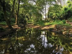 -重庆彩云湖湿地公园