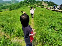 -白草畔自然风景区