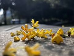 -长广溪湿地公园