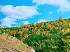 -塞罕坝国家级自然保护区