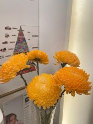 -MIDA蜜哒•科技逆龄美肤连锁